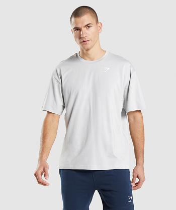 Gymshark Essential Oversized Muške T Shirts Svijetlo Sive | HR 2410UZG